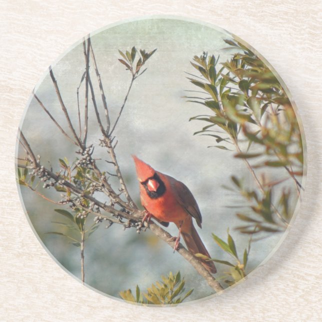 Northern Cardinal in Wax Myrtle Coaster (Front)