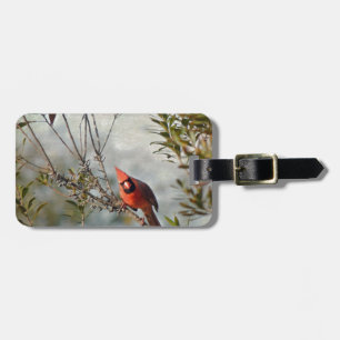 Northern Cardinal in Wax Myrtle Luggage Tag