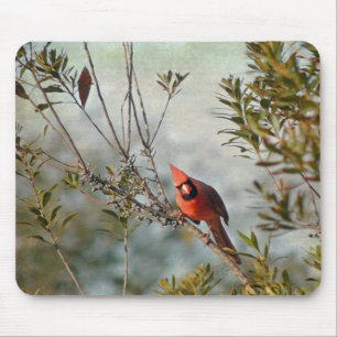 Northern Cardinal in Wax Myrtle Mouse Pad