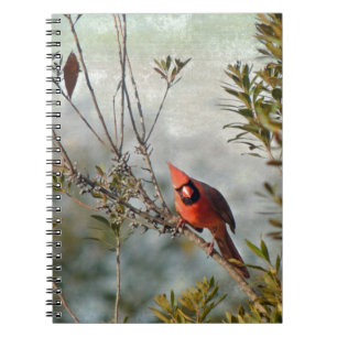 Northern Cardinal in Wax Myrtle Notebook