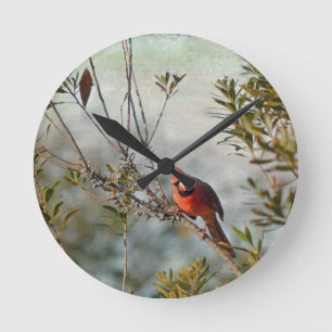 Northern Cardinal in Wax Myrtle Round Clock