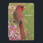 Northern Cardinal iPad Mini Cover<br><div class="desc">Northern cardinal in pink blooms. Photo submitted by a Birds & Blooms reader. Birds & Blooms is the #1 bird and garden magazine in North America. We pride ourselves in celebrating the “beauty in your own backyard” cover a wide range of topics such as bird watching, attracting hummingbirds, building birdhouses,...</div>
