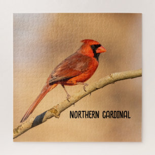 Northern Cardinal Jigsaw Puzzle