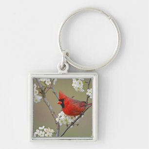 Northern Cardinal Key Ring