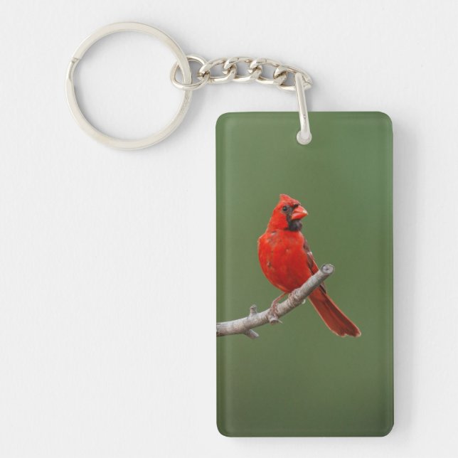 Northern Cardinal Key Ring (Front)