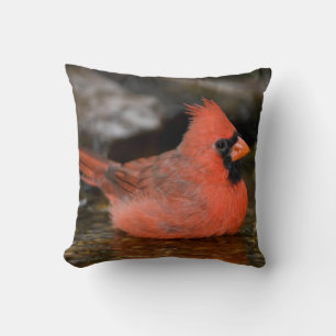 Northern Cardinal male bathing Cushion