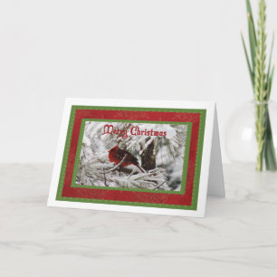 Northern Cardinal Male Christmas Card