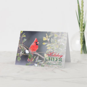 Northern Cardinal male in American Holly Holiday Card