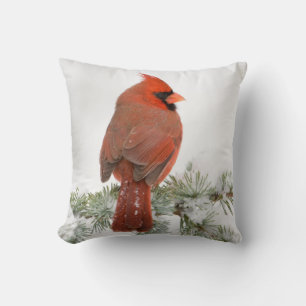 Northern Cardinal male on Blue Atlas Cedar Cushion