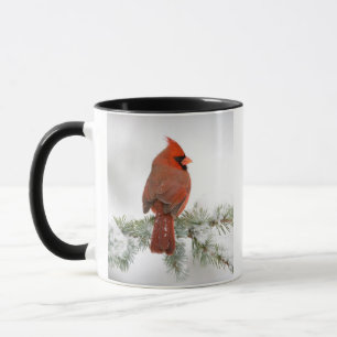 Northern Cardinal male on Blue Atlas Cedar Mug