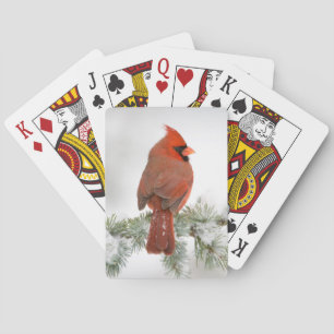 Northern Cardinal male on Blue Atlas Cedar Playing Cards