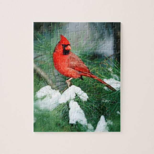 Northern Cardinal male on tree, IL Jigsaw Puzzle (Vertical)