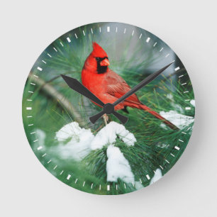 Northern Cardinal male on tree, IL Round Clock