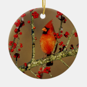 Northern Cardinal male perched, IL Ceramic Ornament
