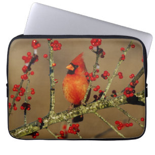 Northern Cardinal male perched, IL Laptop Sleeve