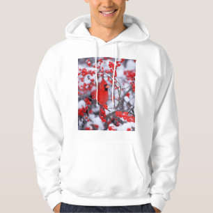 Northern Cardinal male, Winter, IL Hoodie