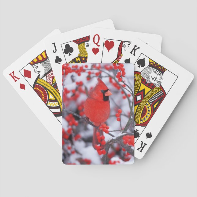 Northern Cardinal male, Winter, IL Playing Cards (Back)