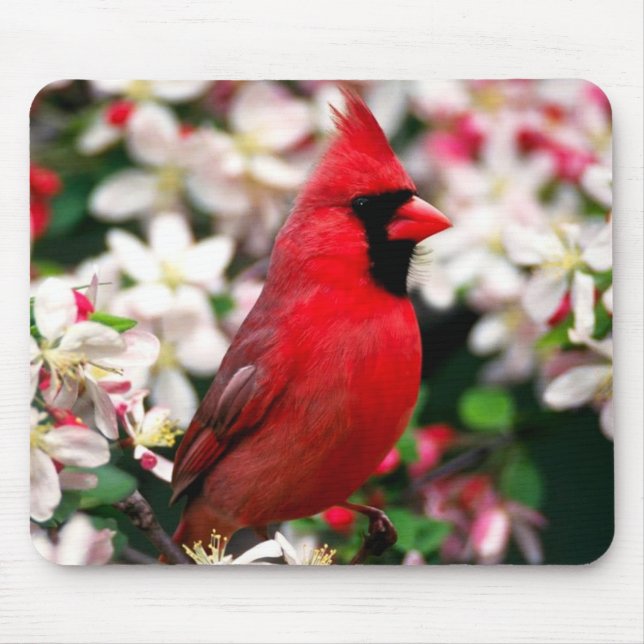 Northern Cardinal Mouse Pad (Front)