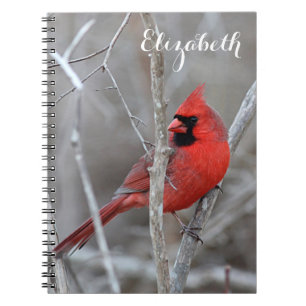 Northern Cardinal Notebook
