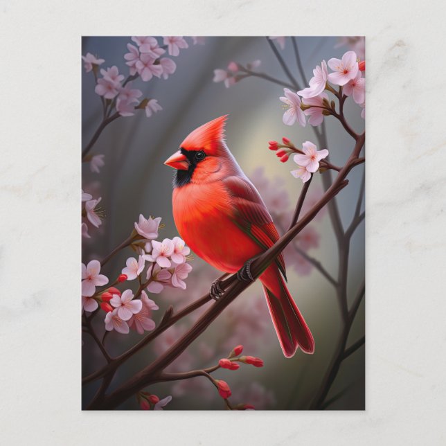 Northern Cardinal Ohio Red Bird Art Postcard (Front)