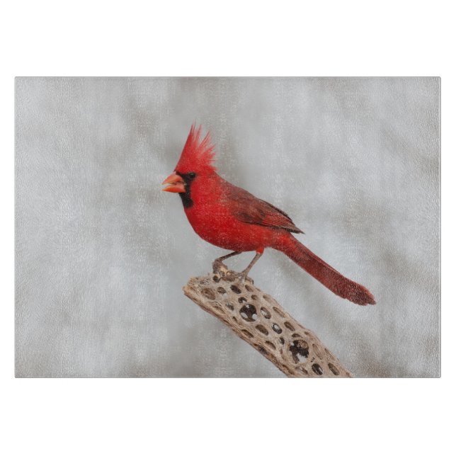 Northern Cardinal on a branch Cutting Board (Front)
