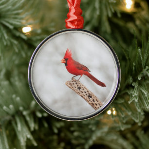 Northern Cardinal on a branch Metal Ornament