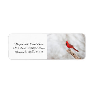 Northern Cardinal on a branch Return Address Label