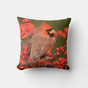 Northern Cardinal on Common Winterberry Cushion
