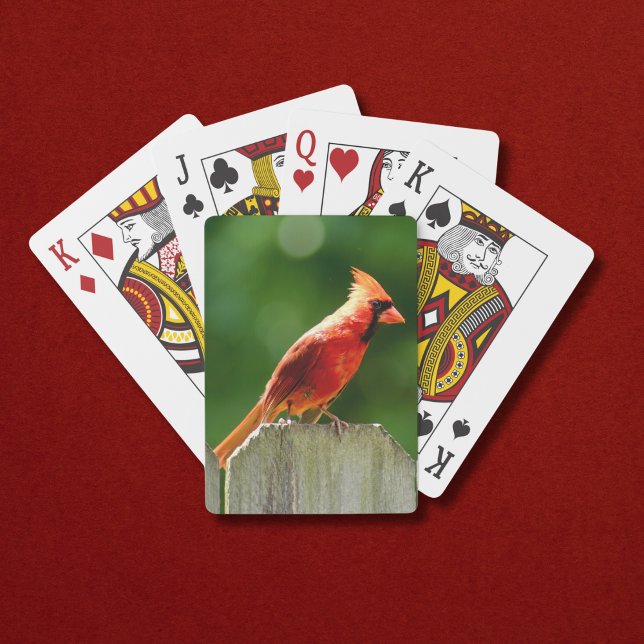 Northern Cardinal on Fence in Summer Playing Cards (A bright red male northern cardinal makes these playing cards perfect for summer!)
