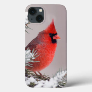Northern Cardinal Perched In A Tree iPhone 13 Case
