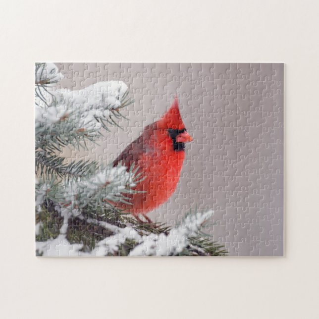 Northern Cardinal Perched In A Tree Jigsaw Puzzle (Horizontal)