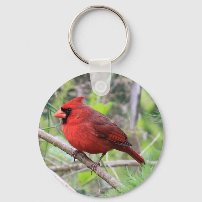 Northern Cardinal Photo Key Ring (Front)