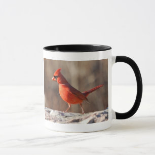 Northern Cardinal picture and information - mug