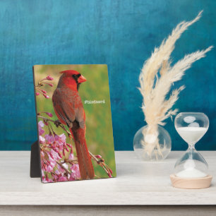 Northern Cardinal Plaque