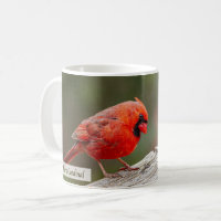 Northern Cardinal Psalm 145:14 KJV