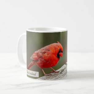 Northern Cardinal Psalm 145:14 KJV Coffee Mug