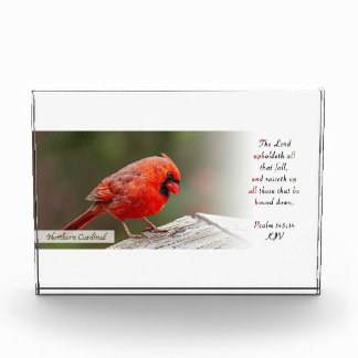 Northern Cardinal Psalm 145:14 KJV Photo Block