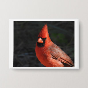 Northern Cardinal Red Bird Portrait Pin Button