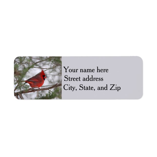 Northern cardinal return address label (Front)
