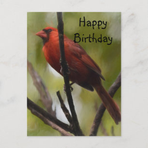 Northern Cardinal Sitting on a Tree Branch Postcard