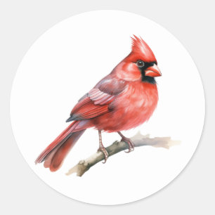 Northern Cardinal Songbird Stickers