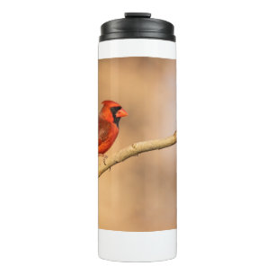 Northern Cardinal  Thermal Tumbler