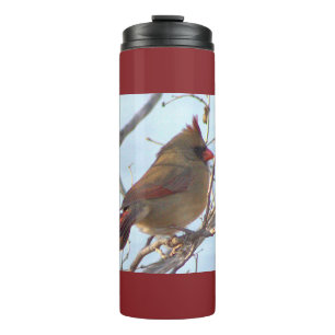 Northern Cardinal Thermal Tumbler