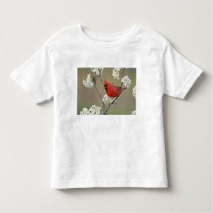 Northern Cardinal Toddler T-Shirt