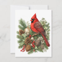 Northern Cardinal Winter Songbirds Collection