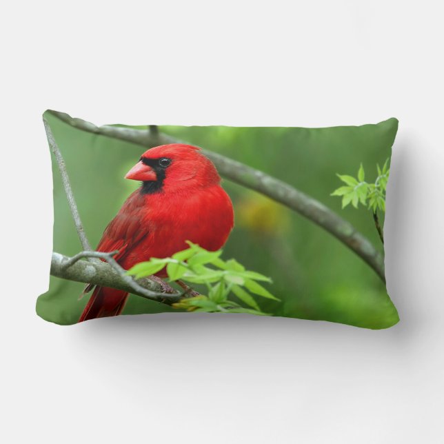 Northern cardinals lumbar cushion (Front)