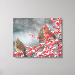 Northern Cardinals Marion, Illinois Canvas Print