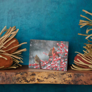 Northern Cardinals Marion, Illinois Plaque