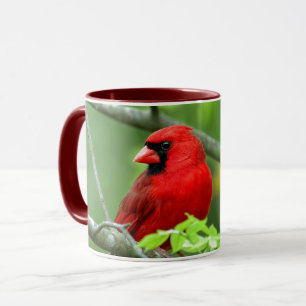 Northern cardinals mug