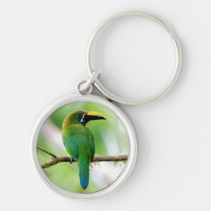 Northern Emerald-Toucanet in Costa Rica Key Ring